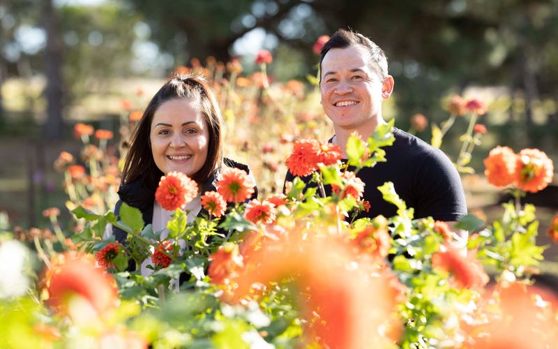 Blooming beautifully post image