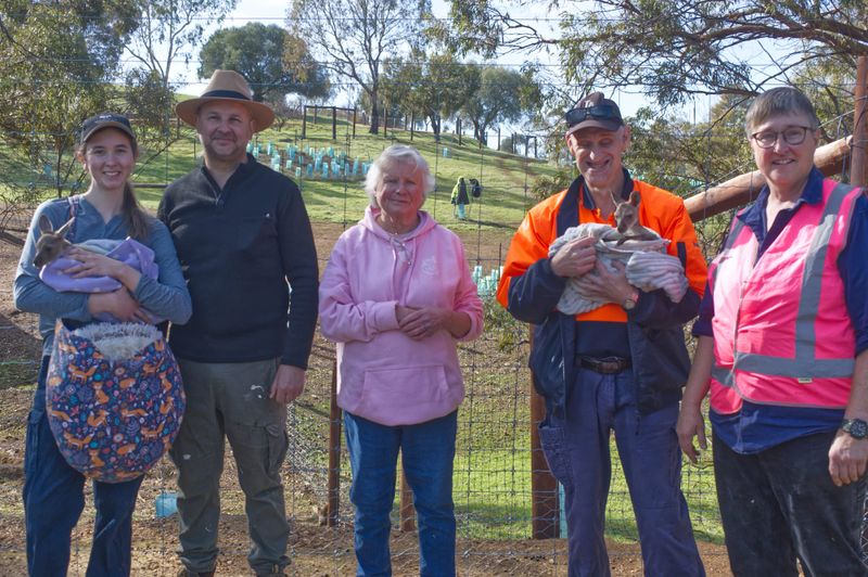 Funding to support Barossa Wildlife Rescue post image
