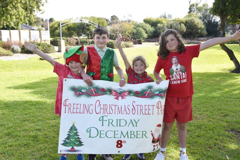 Freeling Christmas Street Party is back post image