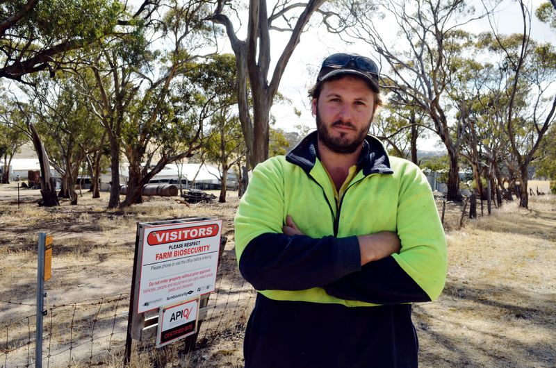 Calls for improved biosecurity measures post image