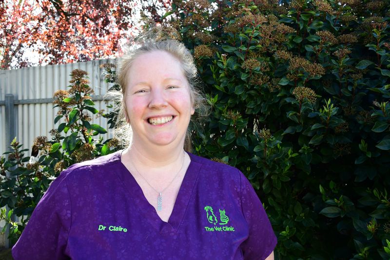 Tips for wildlife in warmer weather post image