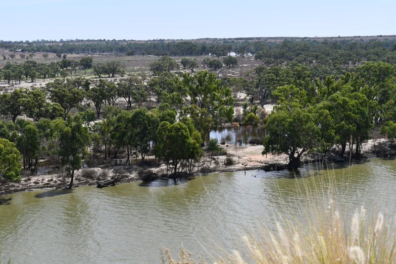 Vigilance needed to stop the spread of fruit flies post image