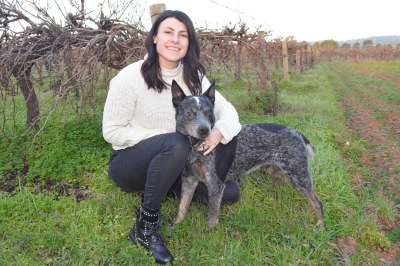 My time as the 2017 Barossa Young Ambassador post image