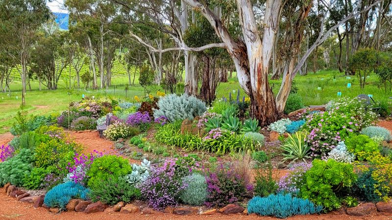 Orcombe Farm at Lyndoch to open post image