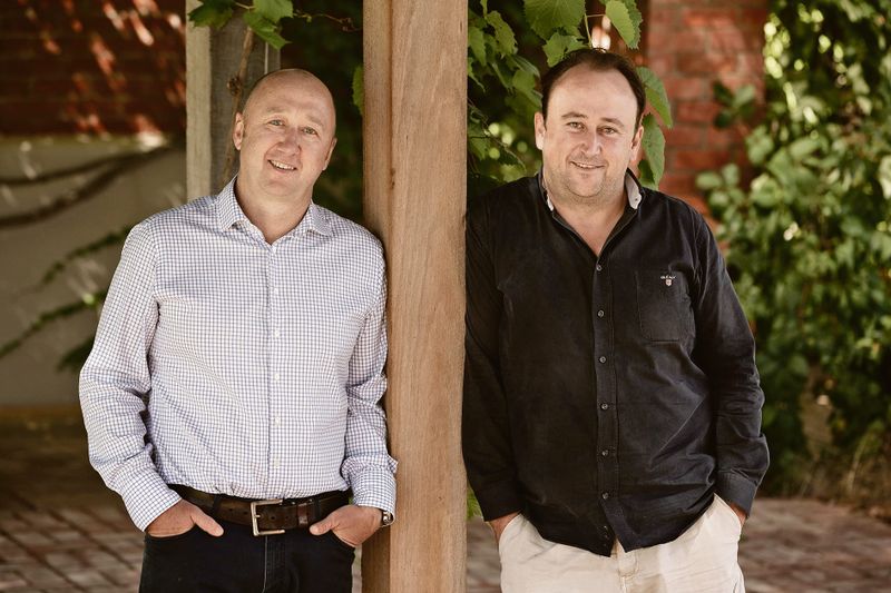 Vineyard expansion for Elderton post image