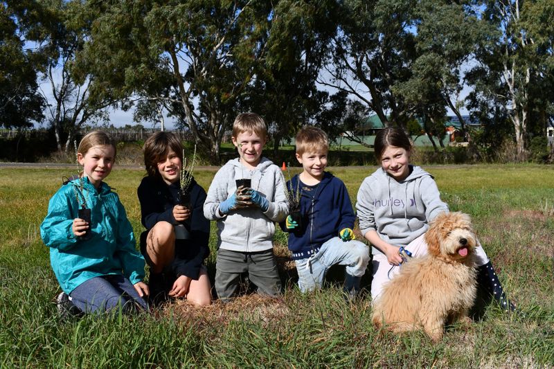 Doing their bit greening Greenock post image
