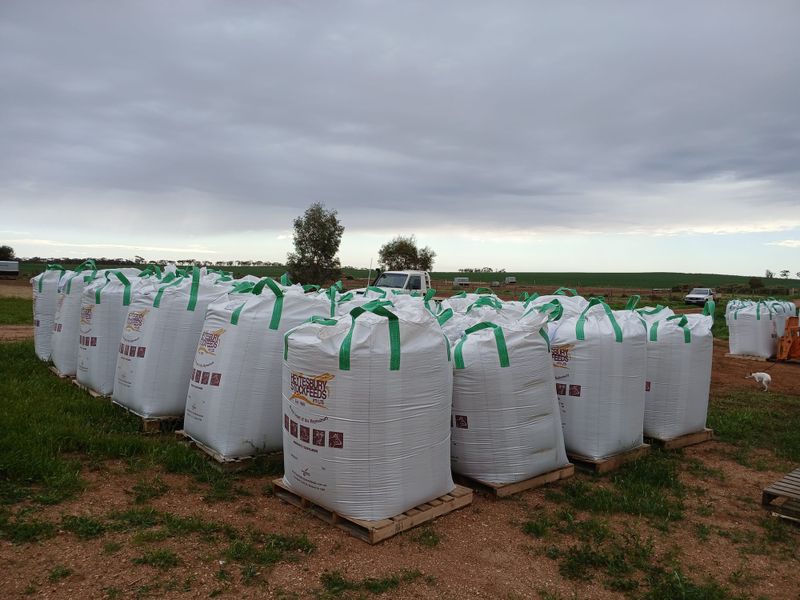 Mannum Lions $30,000 gift to drought affected farmers post image