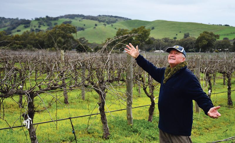 Less yearly rainfall in the Barossa post image