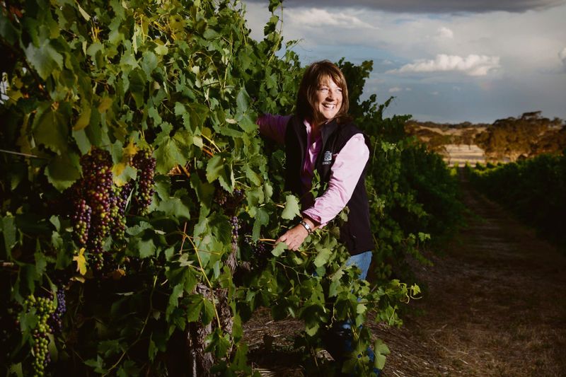 Henschke Shiraz travels first class on Korean Air post image