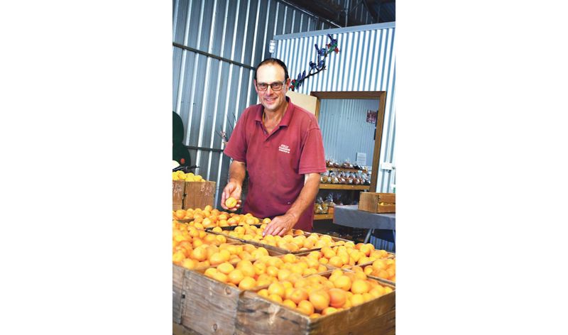 River Ruby to the rescue for Rick post image