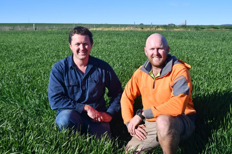 Lifting of tariffs means a good appetite for Australian barley post image