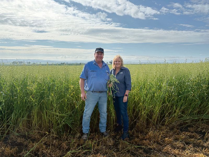 Forecast predicts drier and warmer Autumn post image