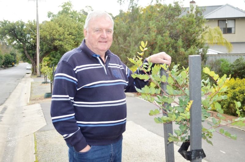 Spend grant funding on trees says Barossa councillor post image