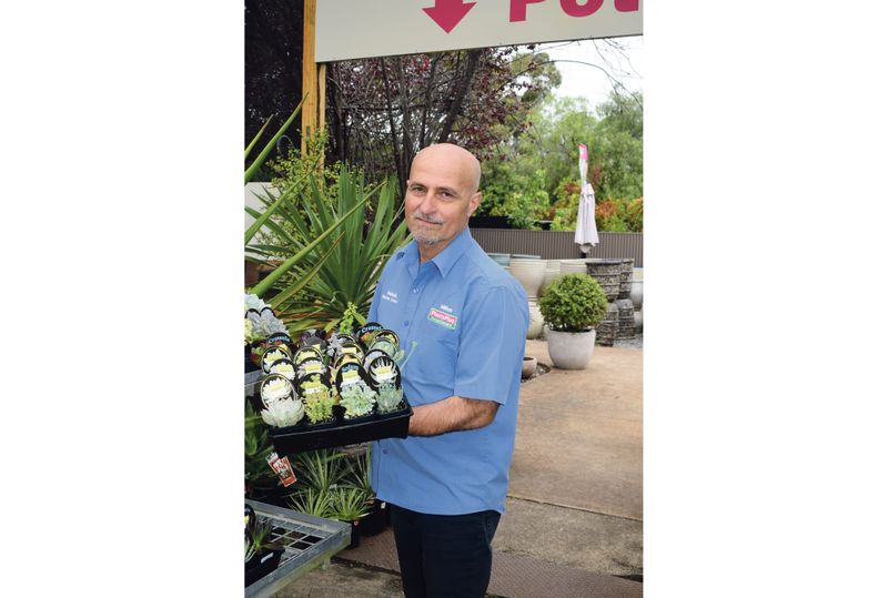 The prickly problem of plant theft post image