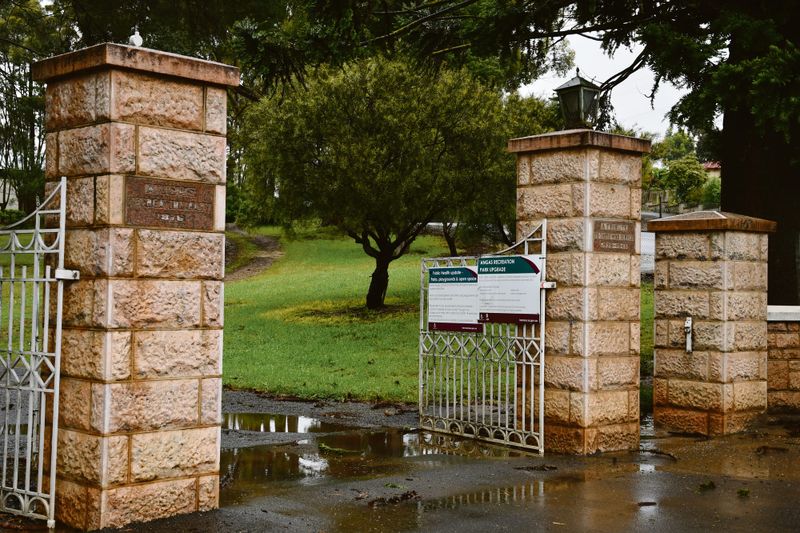 Tree damaged historical light post image