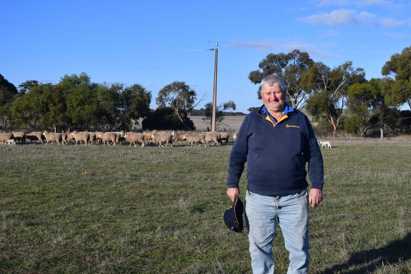 Do ewe know where the sheep are? post image