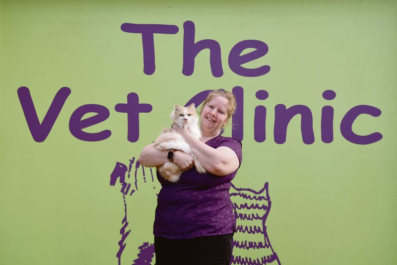 Staying snake smart post image