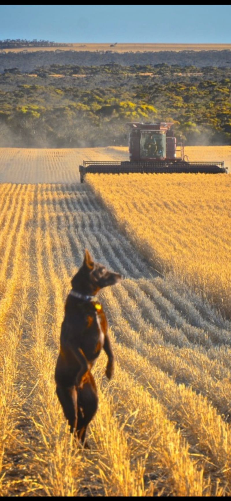 Barker Best Photo competition opens post image
