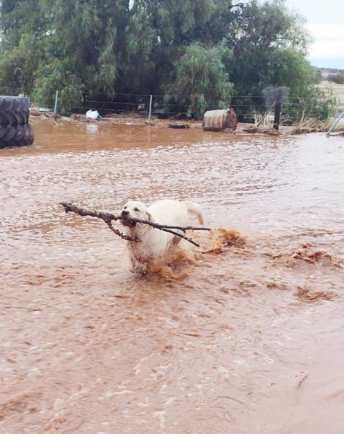 MUD SLIDE post image