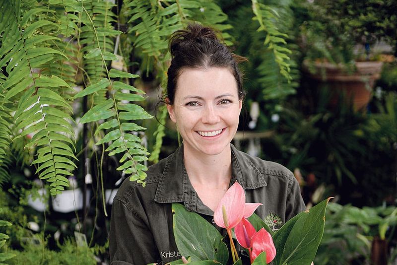 June in the garden post image