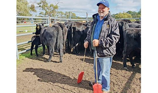 BIGG Winter Beef Snapshot post image