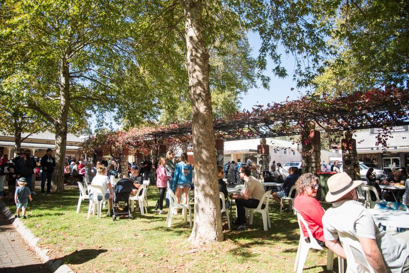 Angaston Town Day post image