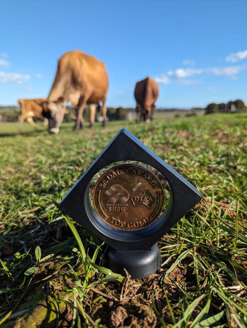 Jersey Fresh wins three medals at Australian Dairy Awards post image