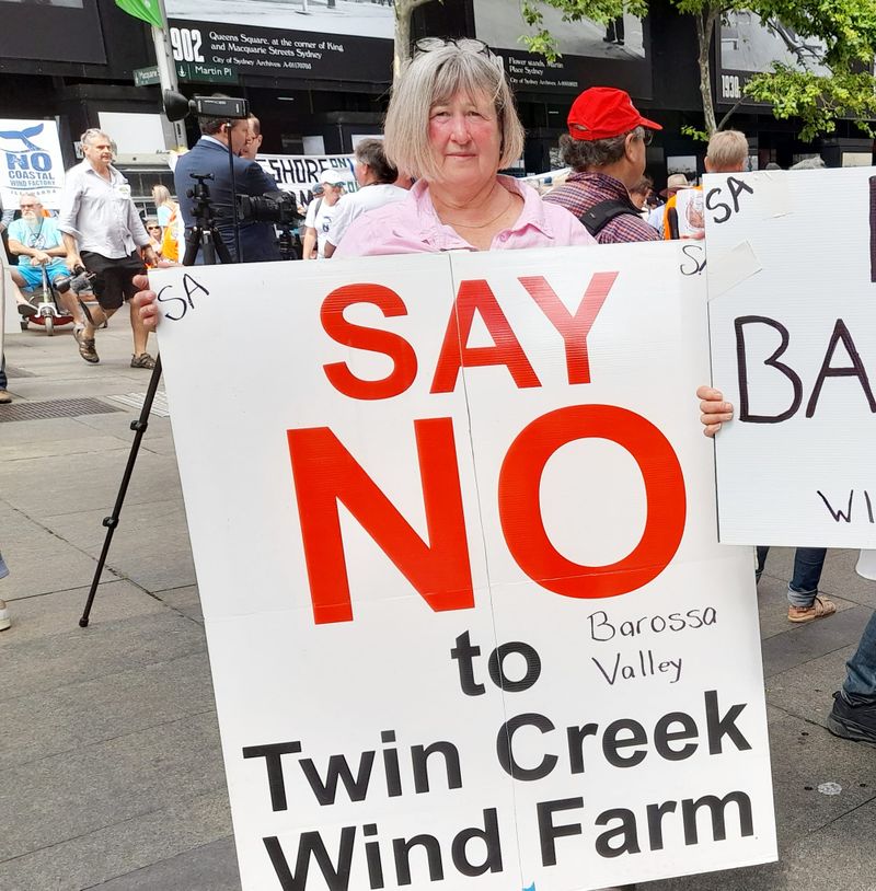 Eudunda activist marches in anti-renewables rally post image