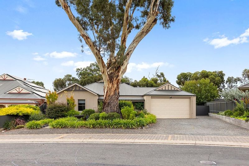 Huge block, great shed, wonderful home post image