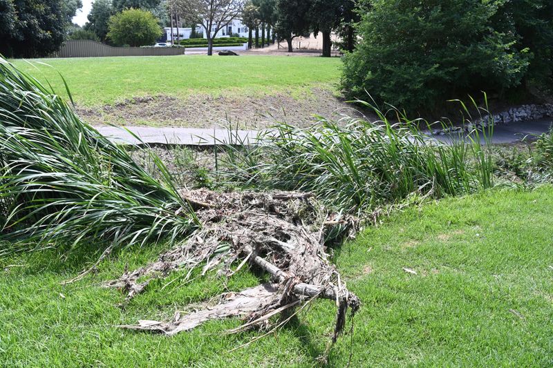 Angaston creek congestion to be cleared post image
