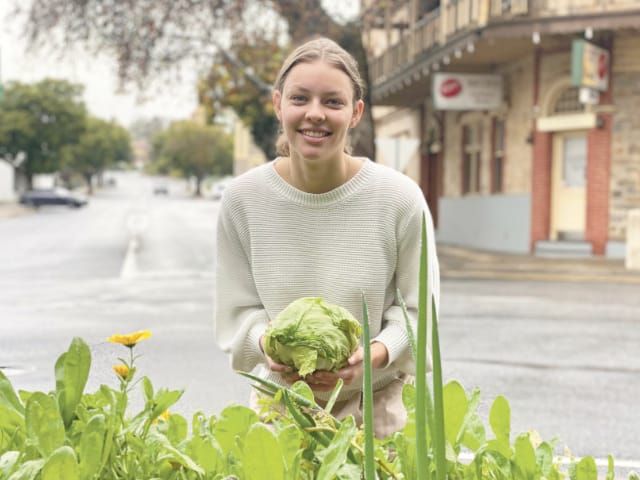 Barossa consumers hit an Iceberg post image