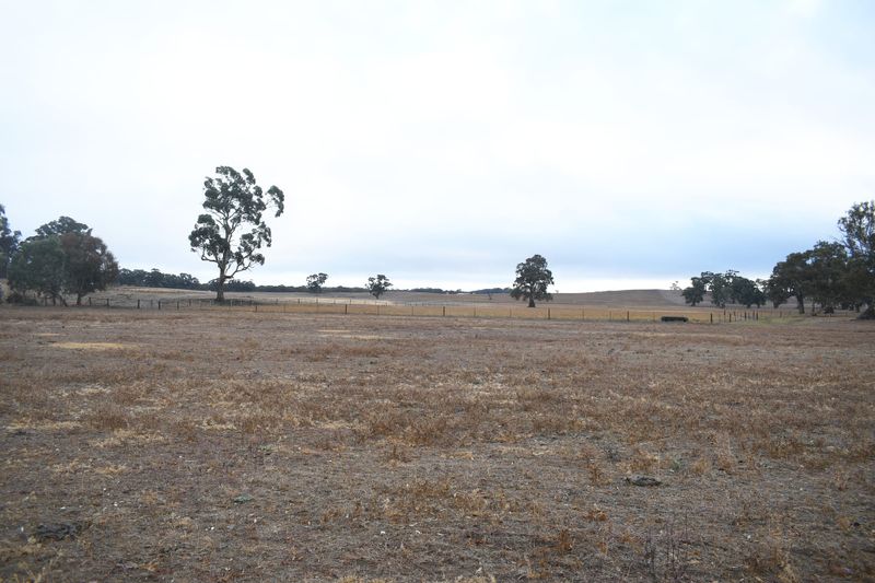 Housing boom for Keyneton considered as DA lodged post image