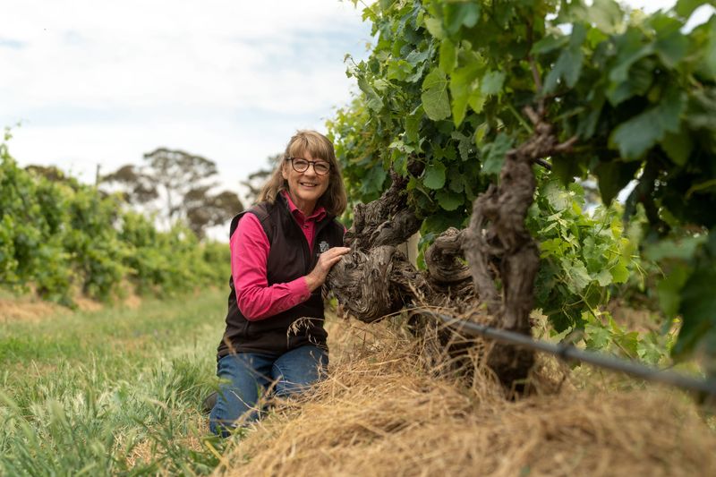 ‘Halliday’s Hall’ inducts two local showstoppers post image