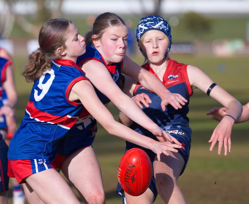 New pathway being forged for young female footballers post image