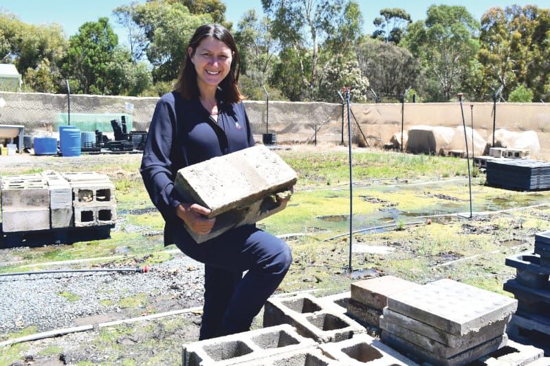 Drought funding projects to boost region’s economy post image