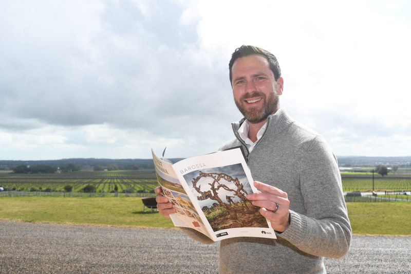 Tourism a winter winner post image