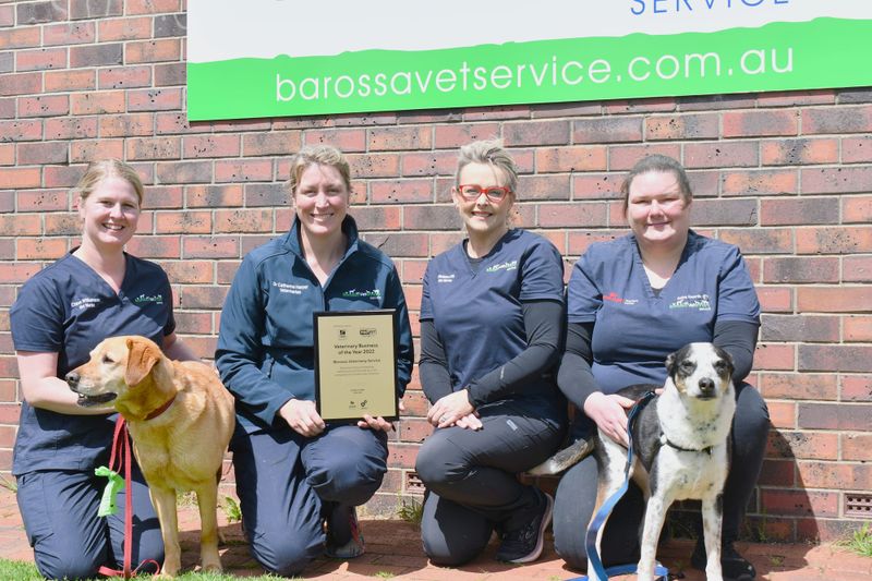 Barossa vet wins Business of the Year post image