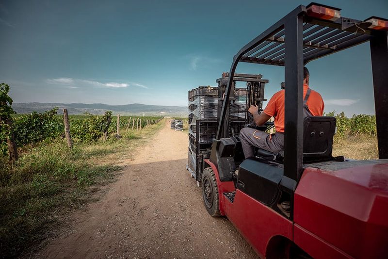 CozWine becomes Acclaimed Workforce post image