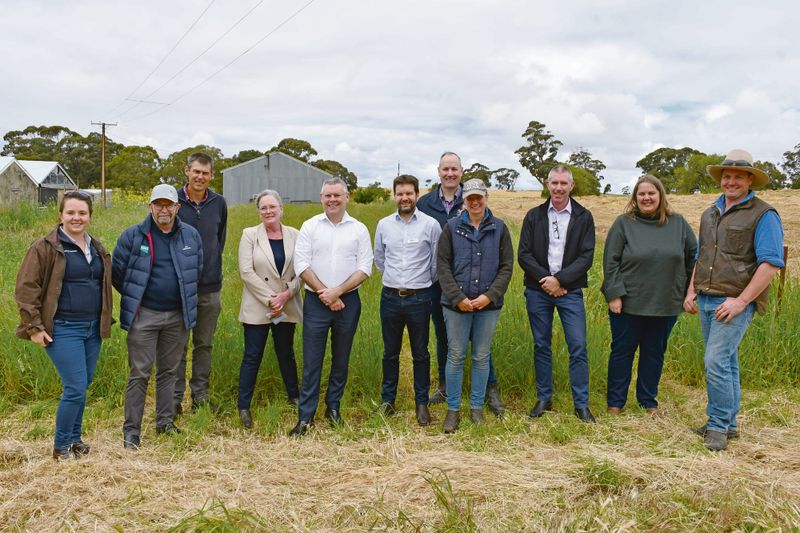 Trial sites helping improve pastures post image