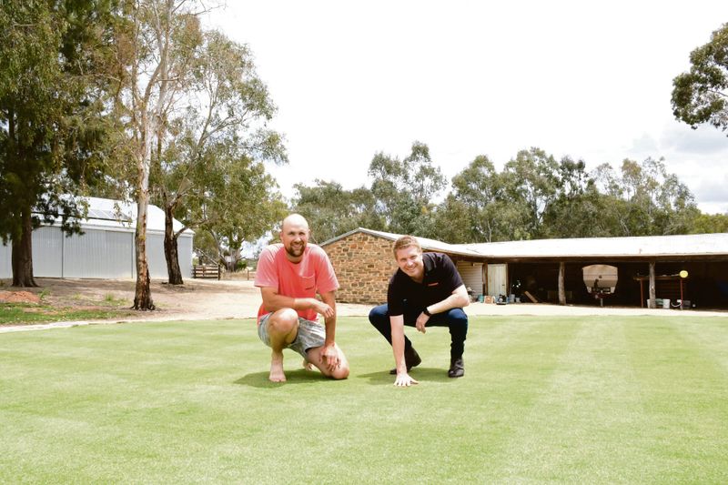 Green dream at Springton voted best lawn post image