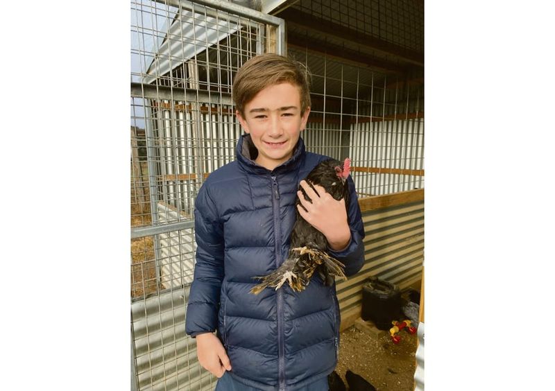 Sidney spoils his lucky chooks post image