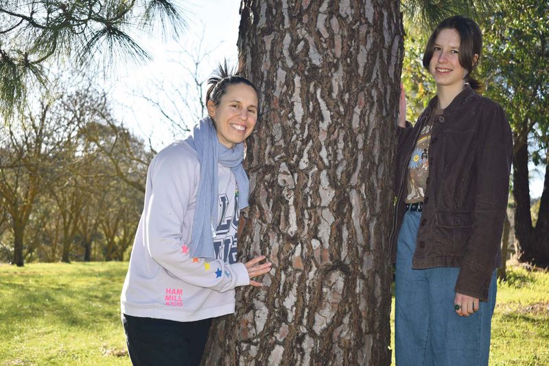 The Giants at Angaston post image