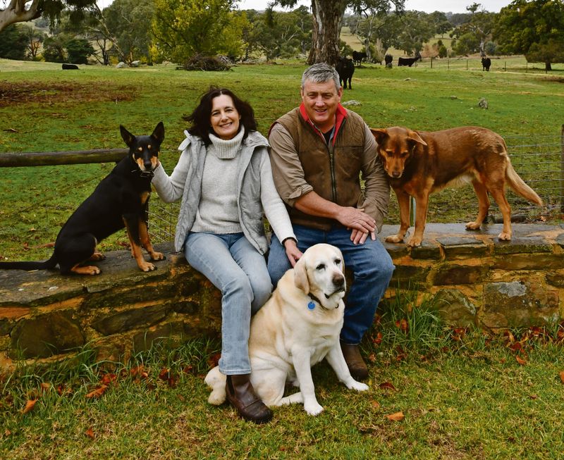 Warmer winter one prediction post image