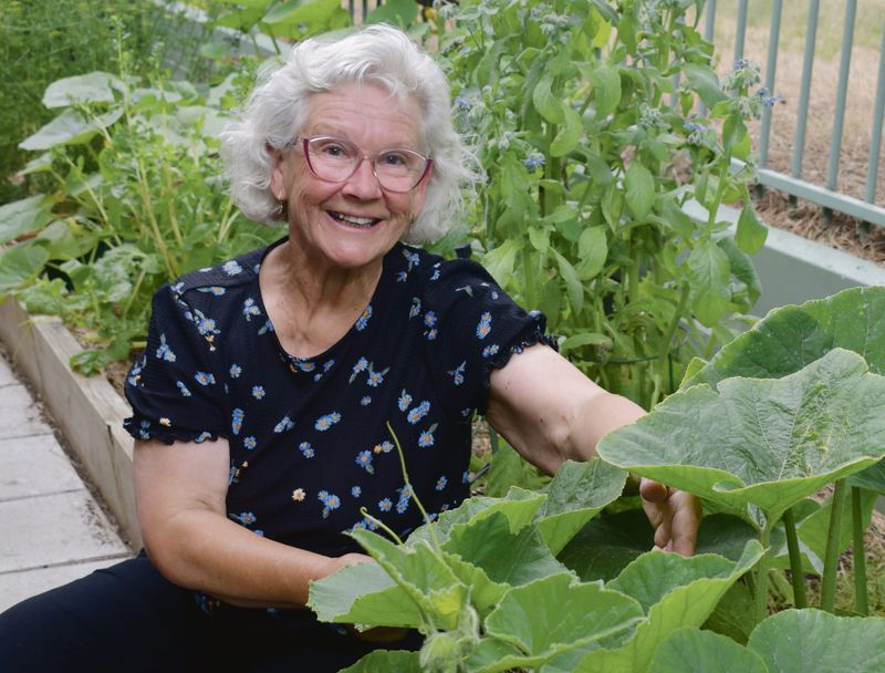 Grow your own greens safely post image