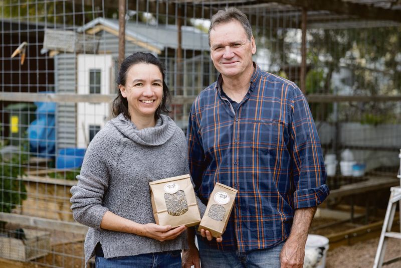 Jeannine and Chris Malcolm, black soldier fly larvae farmers post image
