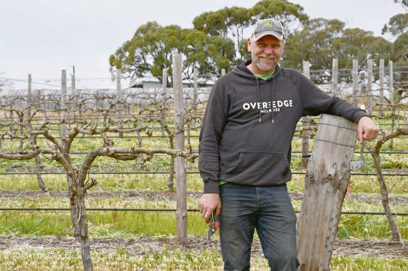 Labour shortages across agricultural industry post image