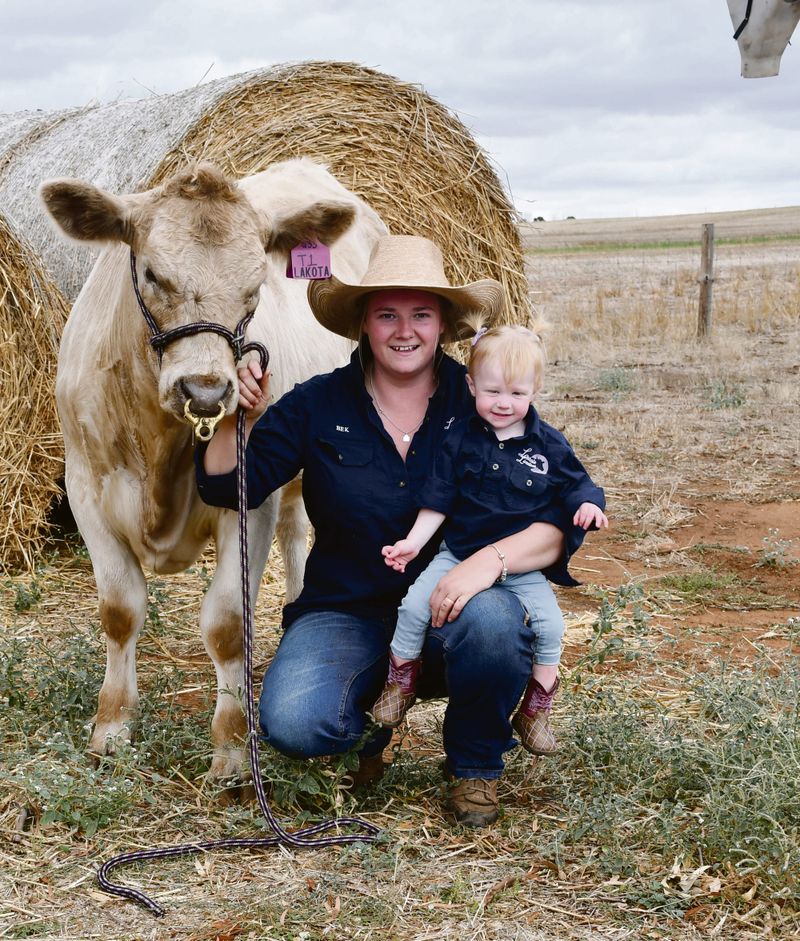 Successful stud has their sights on Sydney post image