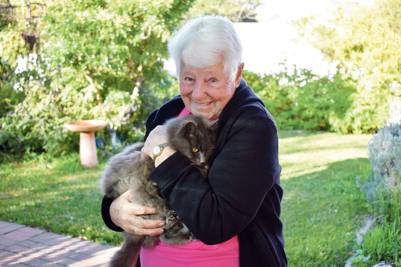 Beloved Puss Puss returns post image