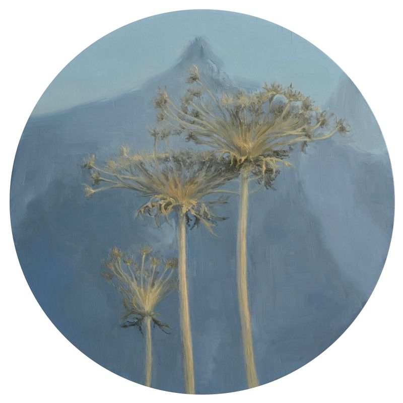 SALA: A Series of Solos for SALA 2024 post image