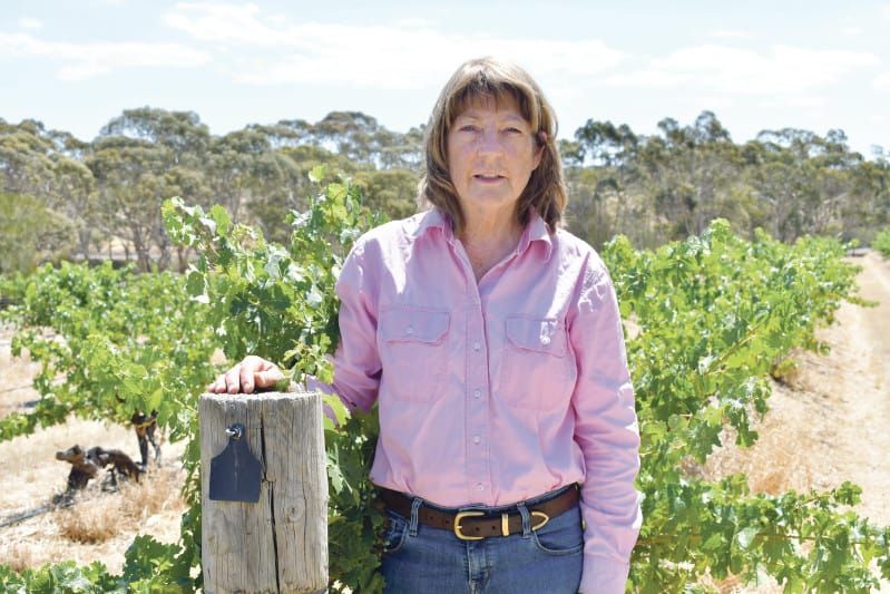 Henschke lose Lenswood vineyard to fire post image